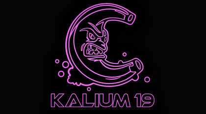 kalium 19